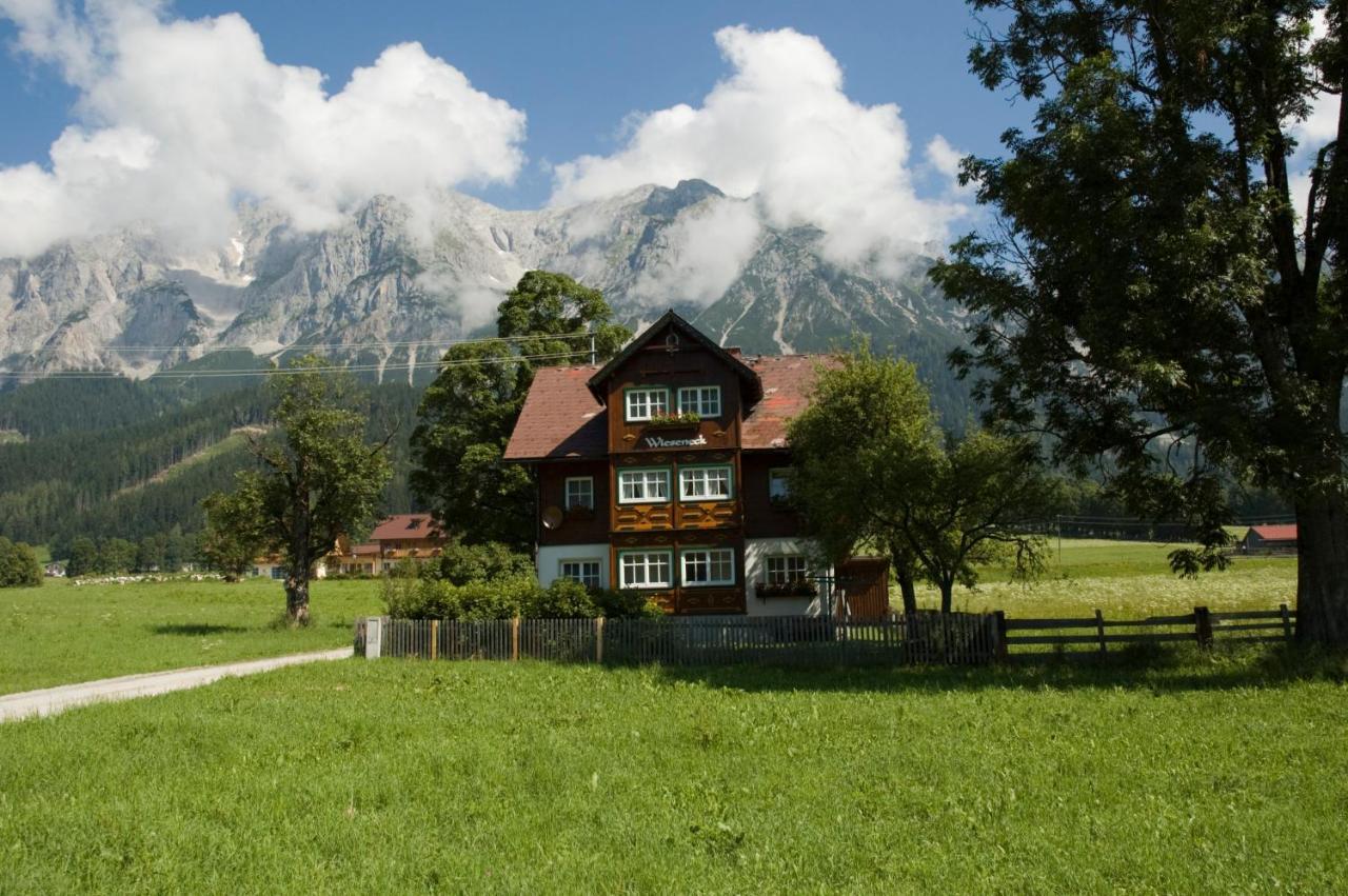 Appartements Wieseneck - Ramsau Am Dachstein - Inklusive Sommercard ! Ramsau am Dachstein Esterno foto