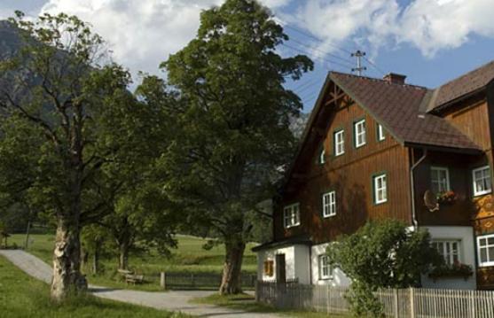 Appartements Wieseneck - Ramsau Am Dachstein - Inklusive Sommercard ! Ramsau am Dachstein Esterno foto