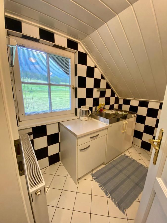 Appartements Wieseneck - Ramsau Am Dachstein - Inklusive Sommercard ! Ramsau am Dachstein Esterno foto