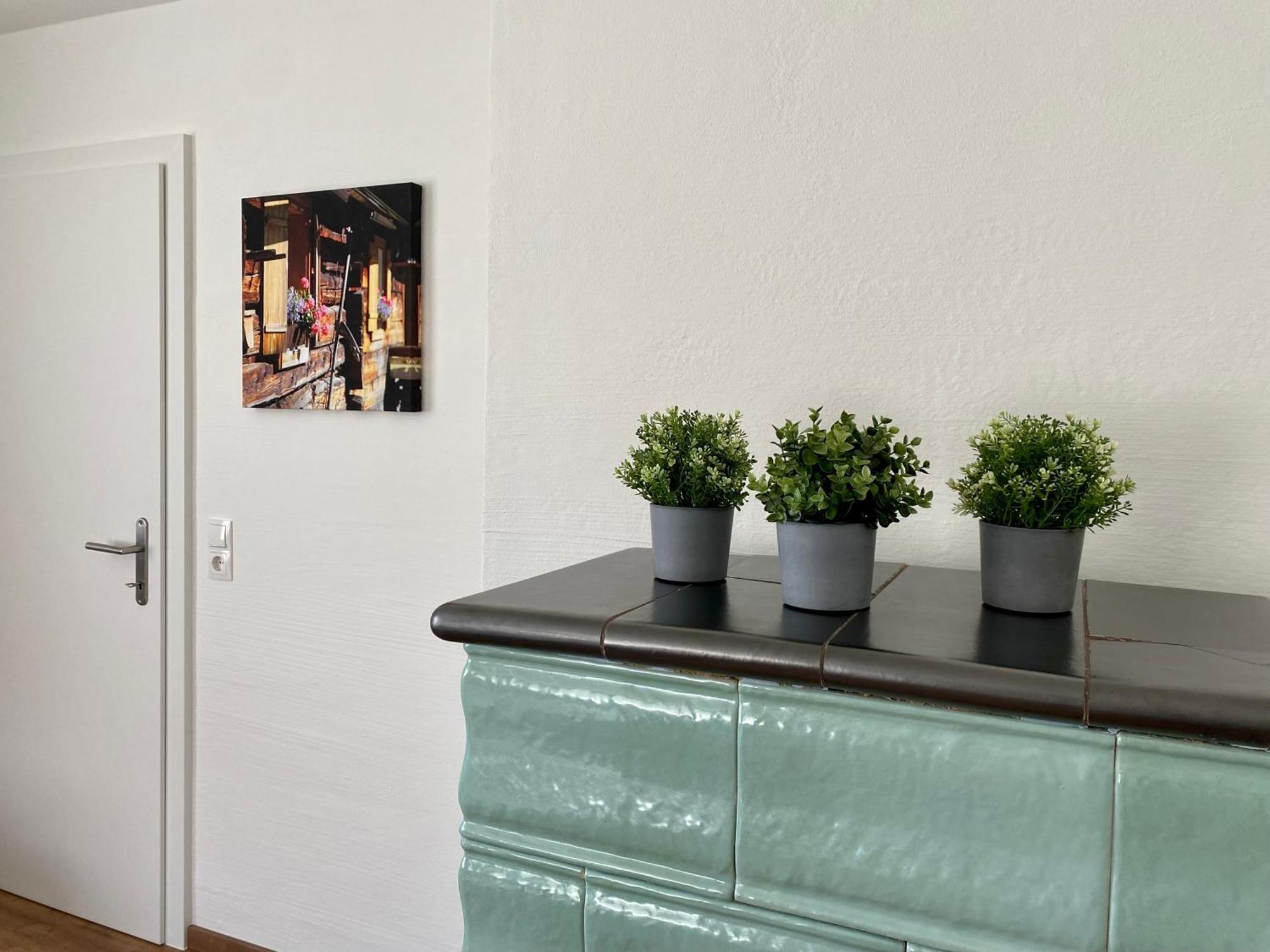 Appartements Wieseneck - Ramsau Am Dachstein - Inklusive Sommercard ! Ramsau am Dachstein Esterno foto